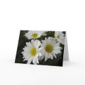 White and Yellow Daisies Note Card
