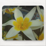 White and Yellow Floral Mousepad mousepads