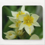 White and Yellow Flower Mousepad mousepads