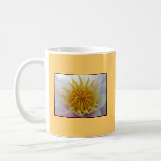 White and Yellow Flower. Mug