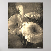 White and Yellow Gerbera and Calla 1 Antiqued Posters