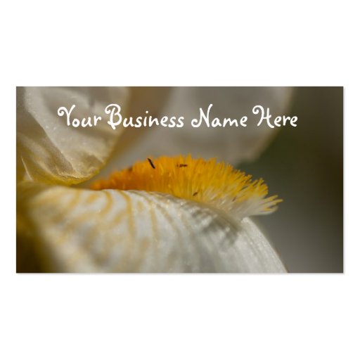 White and Yellow Iris; Promotional Business Card (front side)