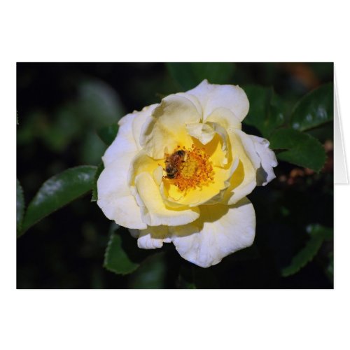 White and Yellow Rose With Honeybee Card card