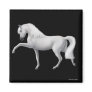 White Andalusian Horse Magnet