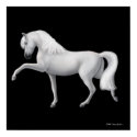White Andalusian Horse Print by twopurringcats White Andalusian Horse Print