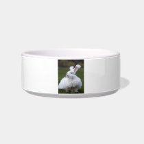 White Angora Bunny Rabbit Pet Bowl Cat Food Bowl