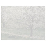 white Apple and daffodil blossoms, Rockliffe Park, Custom Letterhead