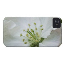White Apple Blossom Close-Up iPhone 4 Case-Mate Cases