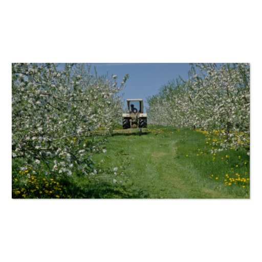 white Apple orchard cultivating, Nova Scotia flowe Business Card Template (back side)