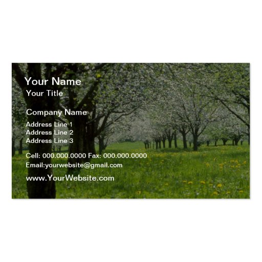 white Apple trees in the spring flowers Business Card Template (front side)