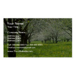 white Apple trees in the spring flowers Business Card Template