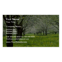 white Apple trees in the spring flowers Business Card Template