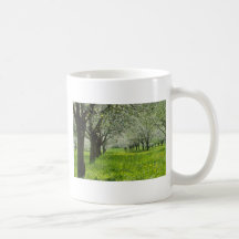 white Apple trees in the spring flowers Coffee Mugs