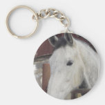 White Arabian Horse Pictures Keychain