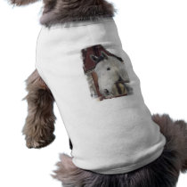 White Arabian Horse Pictures Pet Shirt
