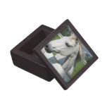 White Arabian Horse Premium Gift Box
