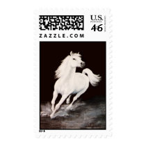 White Arabian Stallion Postage Stamps