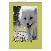 White Arctic Fox, Anniversary Card