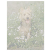 white Australian terrier flowers Letterhead Design