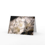 white azalea, bridal bouquet, announcement