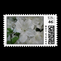 White Azalea Postage stamps
