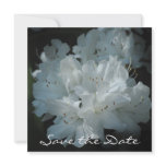 White Azalea Save the Date Card Personalized Invitations
