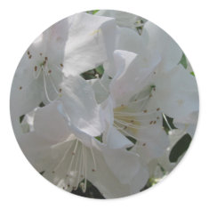 White Azalea sticker