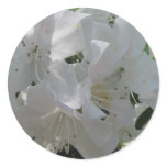 White Azalea Stickers