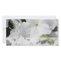White Azalea - Thanks Photo Greeting Card