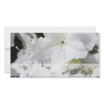 White Azalea - Thanks Photo Greeting Card