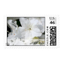 White Azalea - Thanks Postage