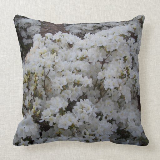 White Azaleas in Springtime CricketDiane Pillow