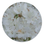 White Azaleas Round Stickers