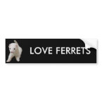 White Baby Ferret Bumper Sticker bumpersticker