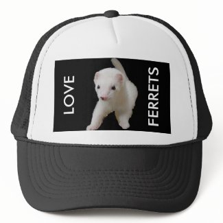 White Baby Ferret hat
