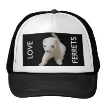 White Baby Ferret Hats