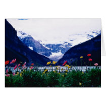 White Banff National Park, Lake Louise flowers Greeting Cards