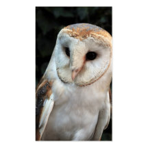 White Barn Owl Business Card Template
