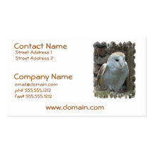 White Barn Owl Business Cards