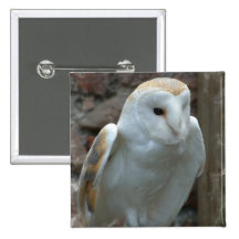 White Barn Owl  Button