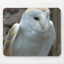 White Barn Owl  Mouse Pad