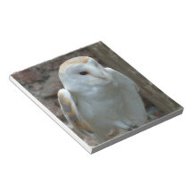 White Barn Owl Notepad