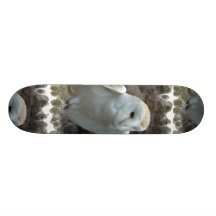 White Barn Owl  Skateboard