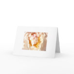 flower, begonia, white, floral, photographic,