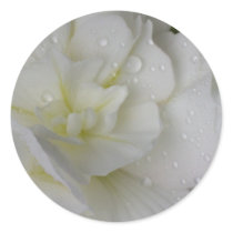 White Begonia Sticker by ggbythebay White Begonia Sticker