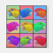 White Bellied Caique Pop Art Magnet