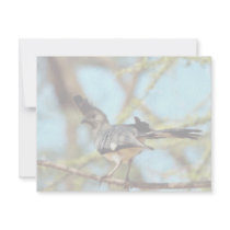 White-bellied Go Away Bird invitations