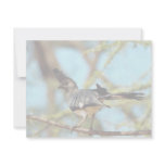 White-bellied Go Away Bird Personalized Invitations