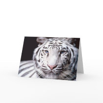 White Bengal Tiger Greeting Cards
