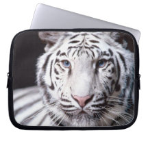 White Bengal Tiger Photography Laptop Sleeves